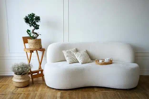 Minimalist Sofas